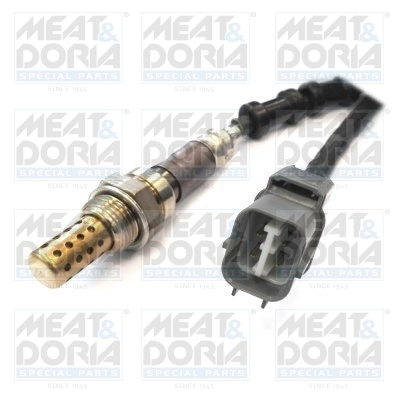 Oxygen Sensor